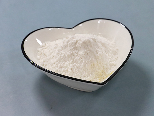 Chicken fillet coated in powder